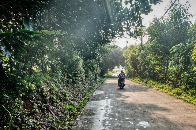 Dvaja ľudia idú na motorke po asfaltovej ceste medzi stromami a zeleňou.jpg